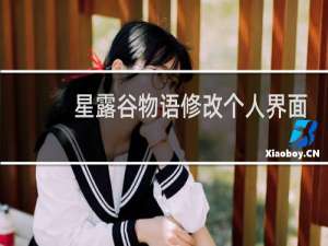 星露谷物语修改个人界面