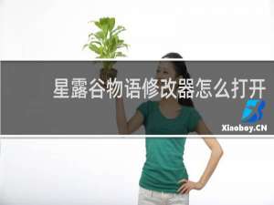 星露谷物语修改器怎么打开