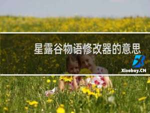 星露谷物语修改器的意思