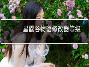 星露谷物语修改器等级