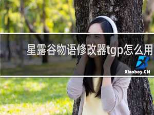 星露谷物语修改器tgp怎么用
