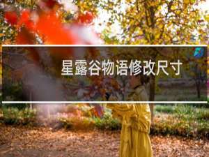 星露谷物语修改尺寸