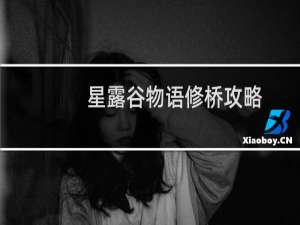 星露谷物语修桥攻略