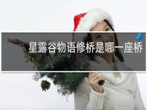 星露谷物语修桥是哪一座桥