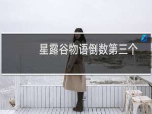 星露谷物语倒数第三个