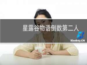 星露谷物语倒数第二人