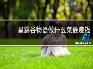 星露谷物语做什么菜最赚钱