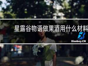 星露谷物语做果酒用什么材料