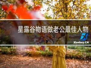 星露谷物语做老公最佳人物