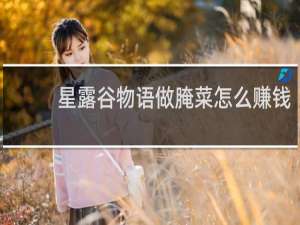 星露谷物语做腌菜怎么赚钱