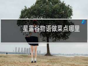 星露谷物语做菜点哪里