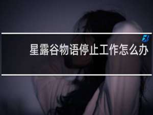 星露谷物语停止工作怎么办