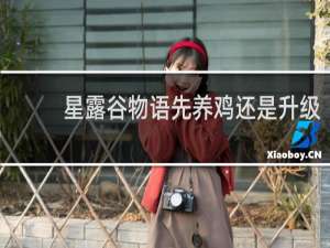 星露谷物语先养鸡还是升级