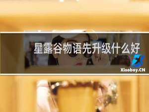 星露谷物语先升级什么好