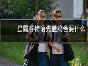 星露谷物语先盖鸡舍要什么