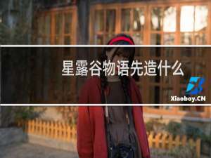 星露谷物语先造什么