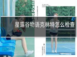 星露谷物语克林特怎么检查