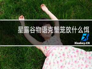 星露谷物语克蟹笼放什么饵