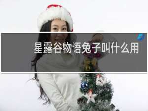 星露谷物语兔子叫什么用