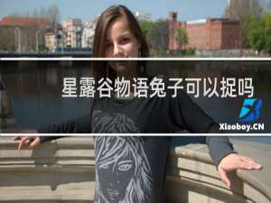 星露谷物语兔子可以捉吗