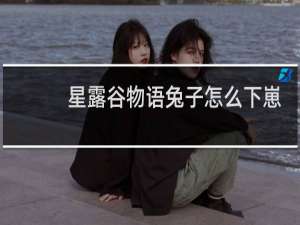 星露谷物语兔子怎么下崽