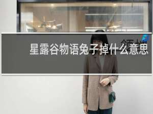 星露谷物语兔子掉什么意思