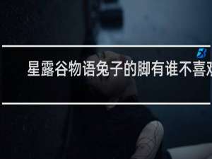 星露谷物语兔子的脚有谁不喜欢