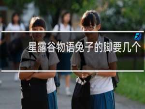 星露谷物语兔子的脚要几个