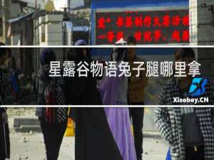 星露谷物语兔子腿哪里拿