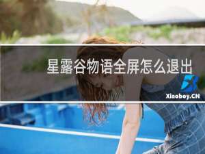 星露谷物语全屏怎么退出