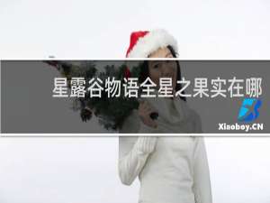 星露谷物语全星之果实在哪