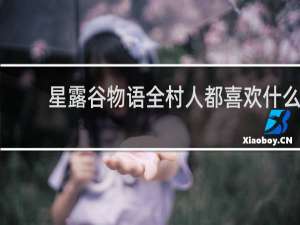 星露谷物语全村人都喜欢什么
