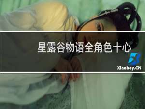 星露谷物语全角色十心