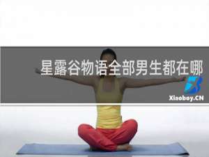 星露谷物语全部男生都在哪