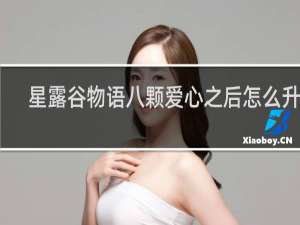 星露谷物语八颗爱心之后怎么升级