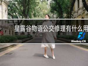 星露谷物语公交修理有什么用
