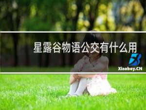 星露谷物语公交有什么用