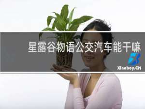 星露谷物语公交汽车能干嘛