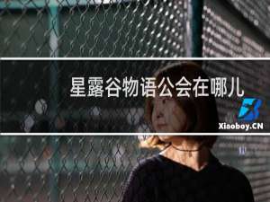 星露谷物语公会在哪儿