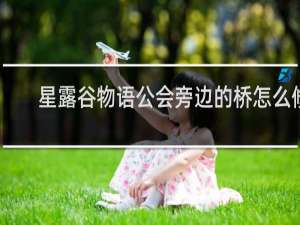 星露谷物语公会旁边的桥怎么修