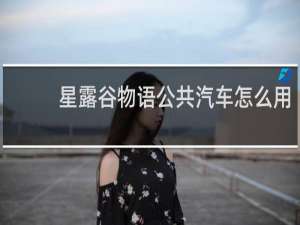 星露谷物语公共汽车怎么用