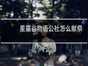 星露谷物语公社怎么献祭