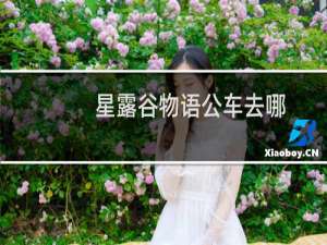 星露谷物语公车去哪