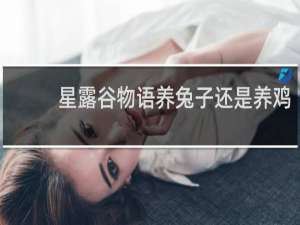 星露谷物语养兔子还是养鸡