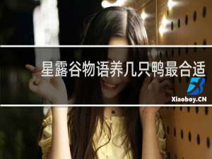 星露谷物语养几只鸭最合适