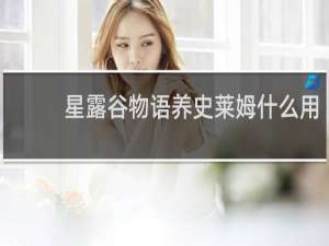 星露谷物语养史莱姆什么用