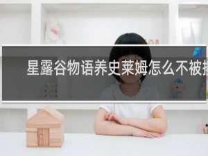 星露谷物语养史莱姆怎么不被揍