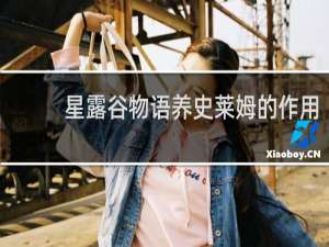 星露谷物语养史莱姆的作用