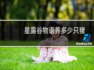 星露谷物语养多少只猪