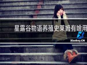 星露谷物语养殖史莱姆有啥用